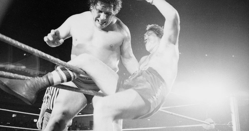 Wepner Fight