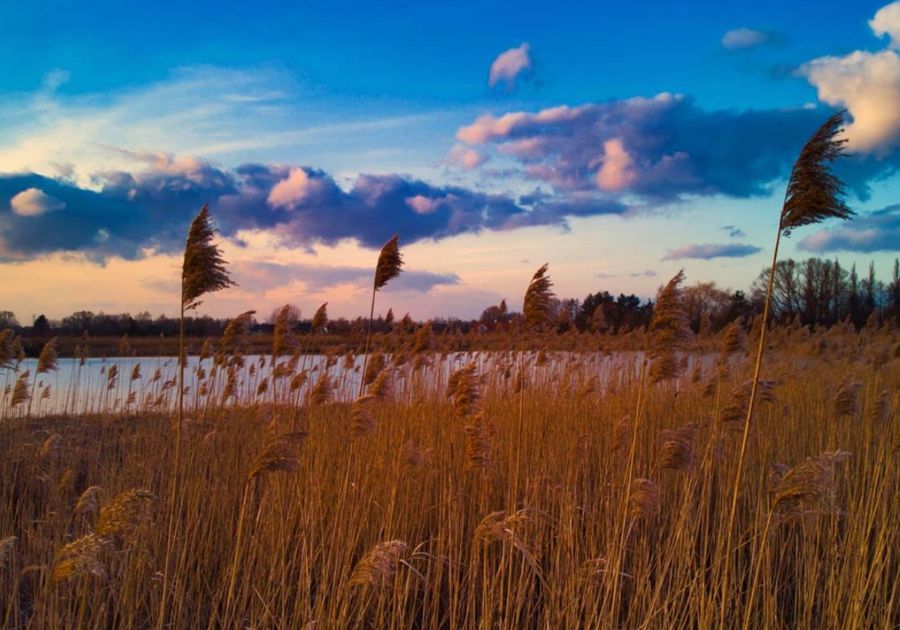 Rolling Clouds Sunset