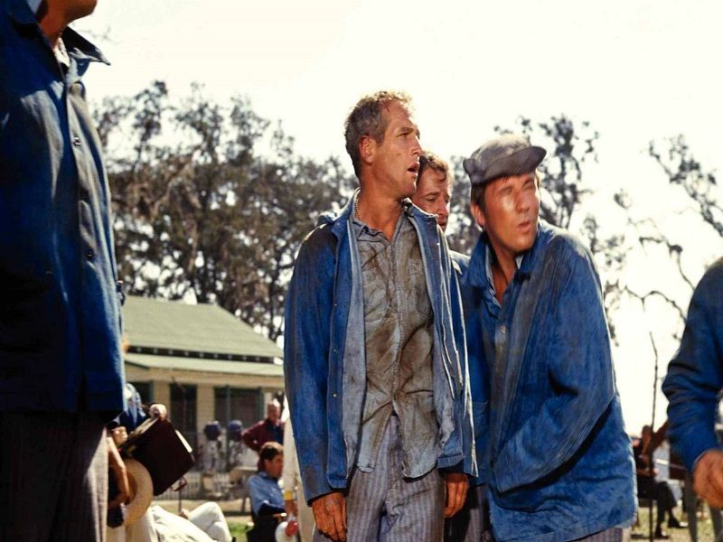 Cool Hand Luke