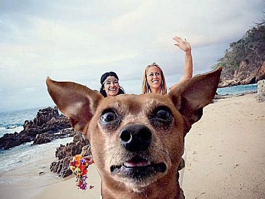 Best Photobomb Ever?