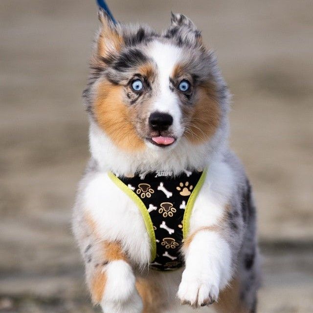 First Trip to the Beach!