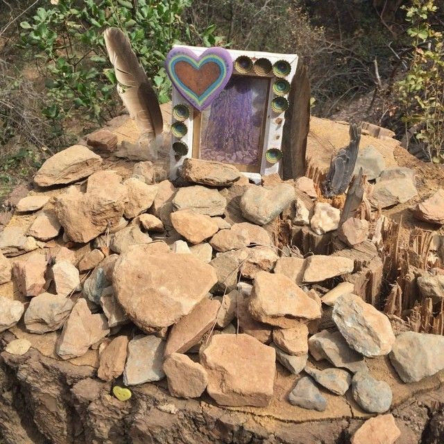 Memorial to a Fallen Tree