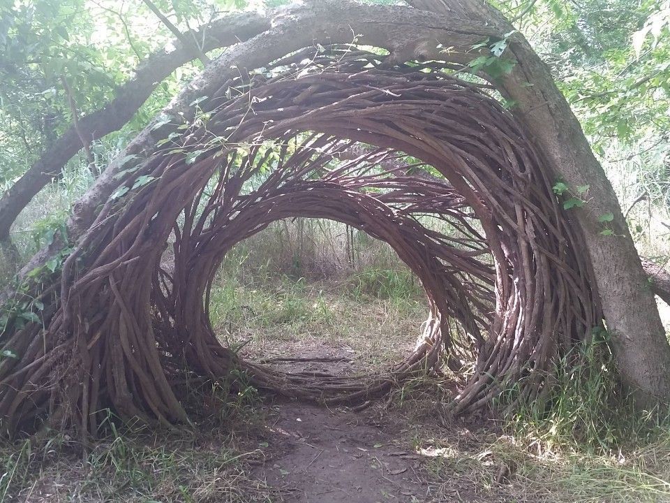 A Tree Tunnel in Austin, Texas