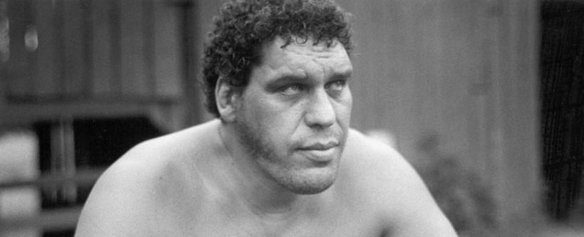 André the Giant- The Larger Than Life Story of a Pop Culture Icon